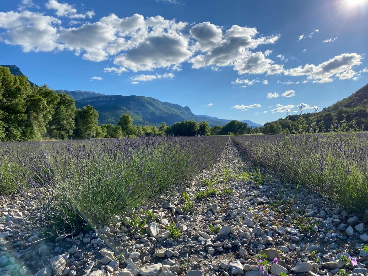 Gite En Haute Provence Montfroc المظهر الخارجي الصورة